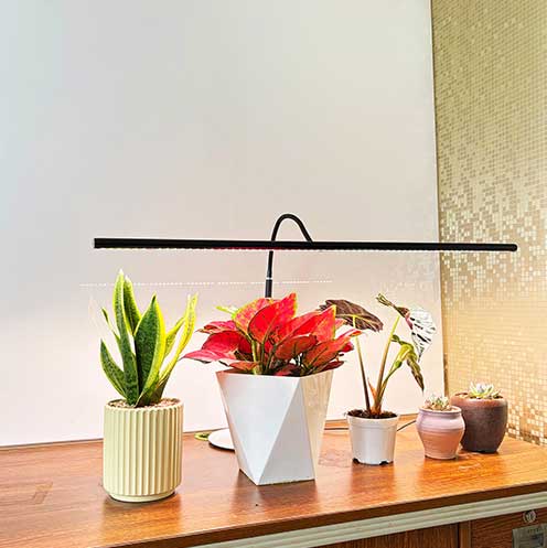 Bar-shaped, 24V, power adapter included.