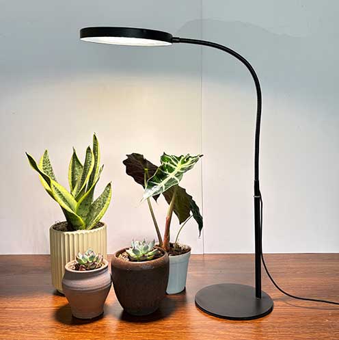 Round design, 12V, power adapter included.