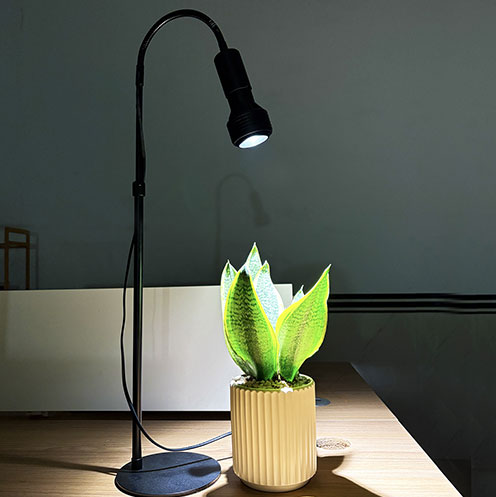110V Spotlight Model.