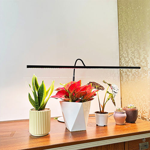 Plant growth light