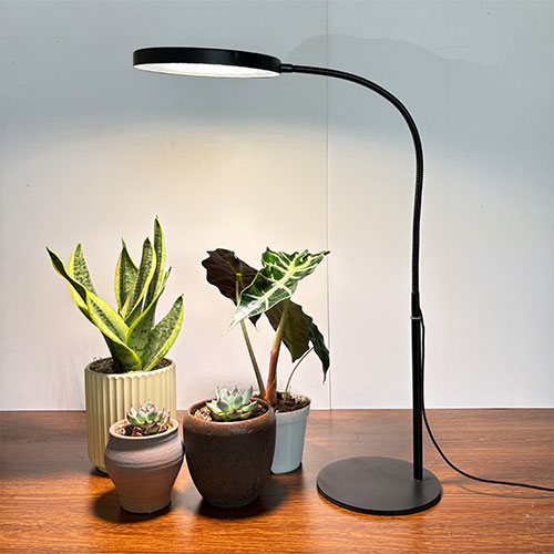 Plant growth light