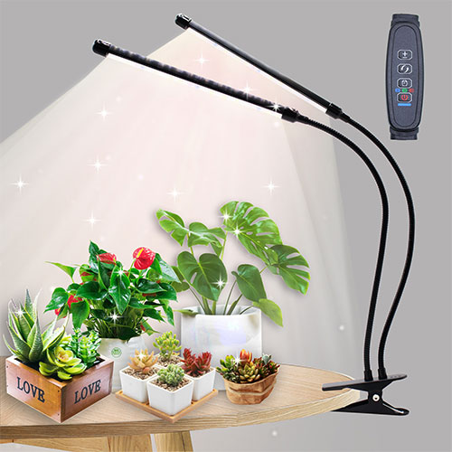 Plant growth light
