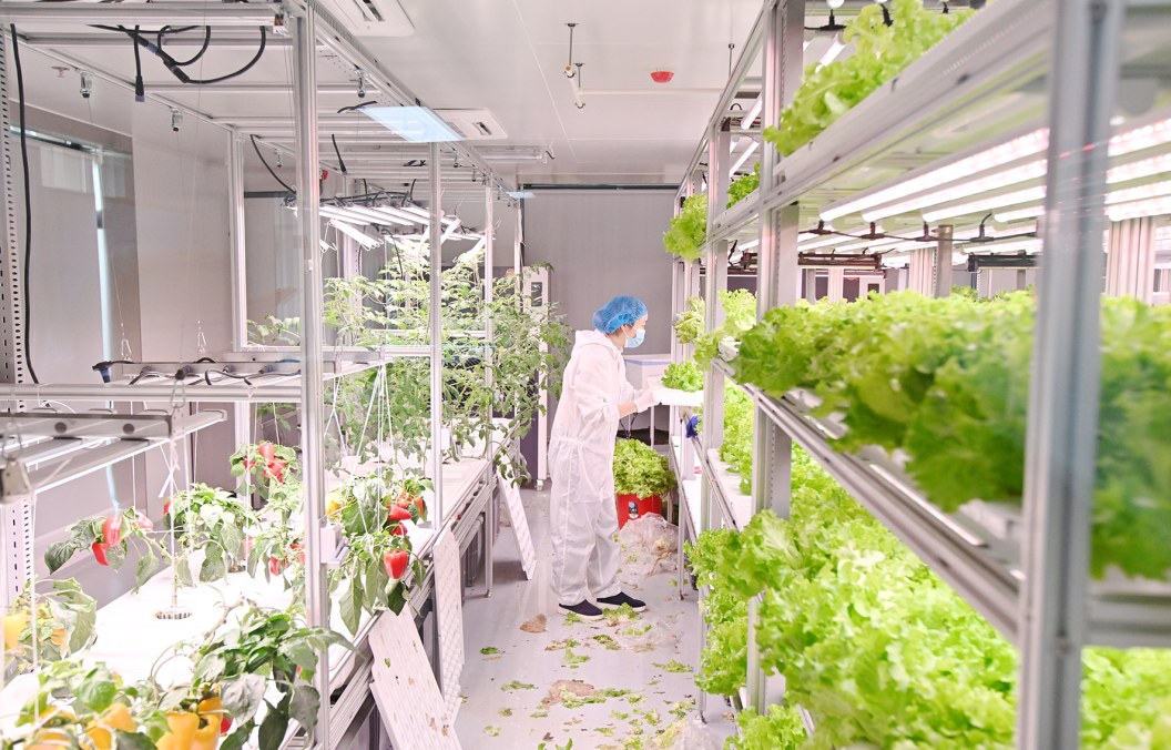Plant Light Cultivation Laboratory